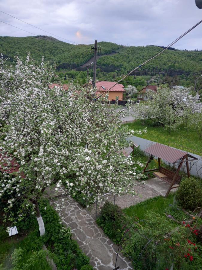 Лаванда Yaremche Exterior foto